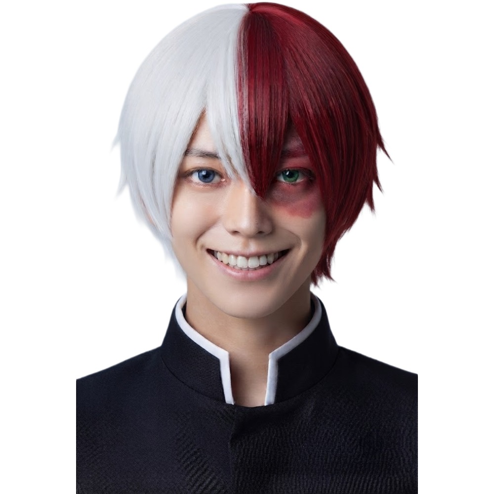 Shoto Todoroki Wig